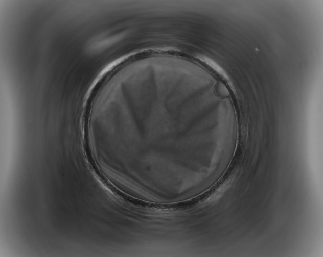 X0000085250935200703301807