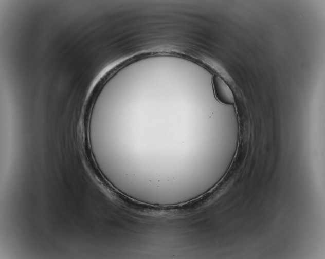 X0000085250936200703301807