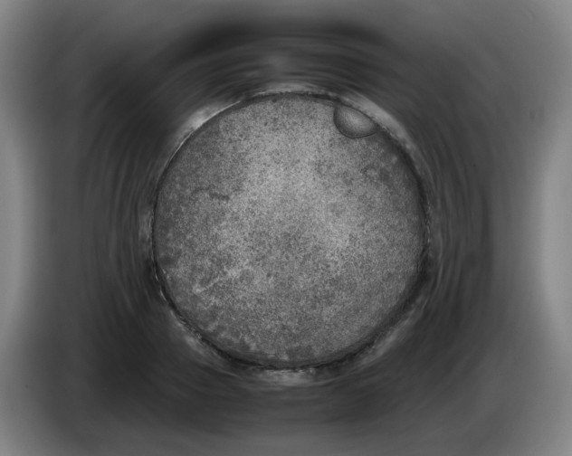 X0000085250937200703301807