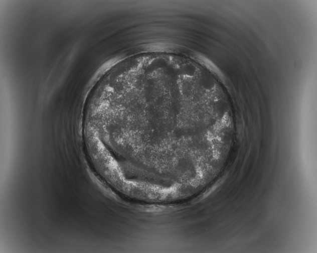 X0000085250938200703301807