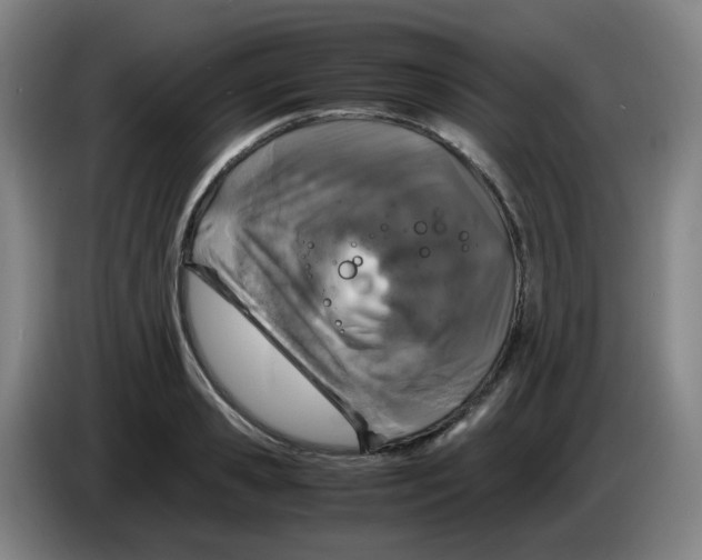 X0000085250941200703301807