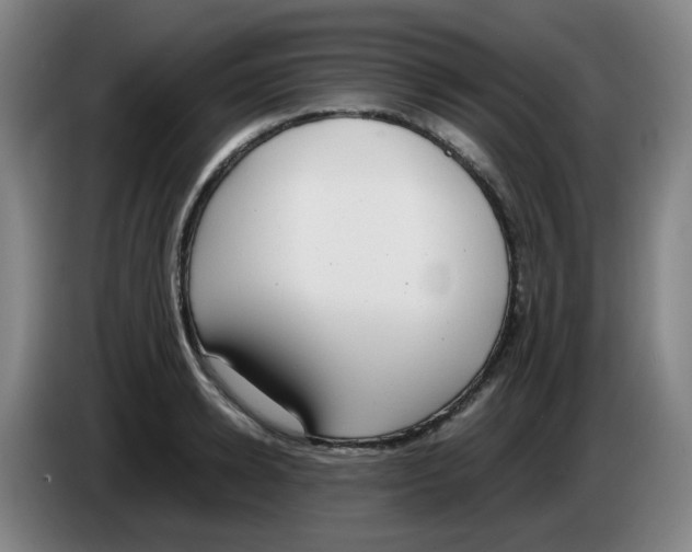 X0000085250942200703301807