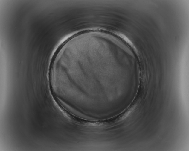 X0000085250943200703301807