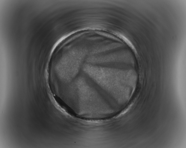 X0000085250944200703301807