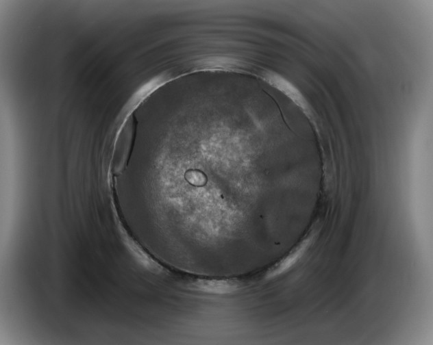 X0000085250946200703301807