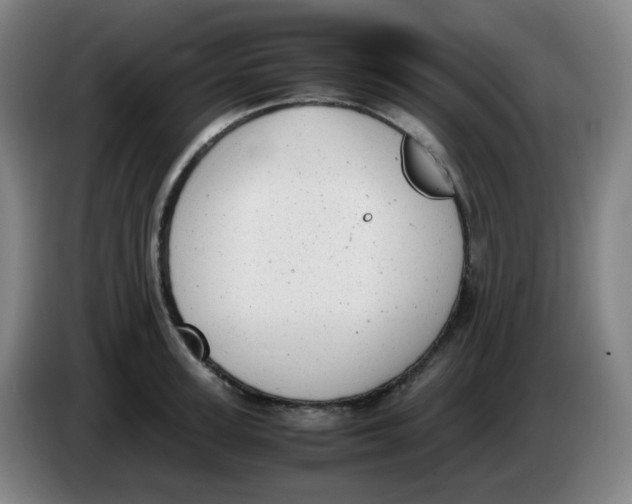 X0000085250947200703301807