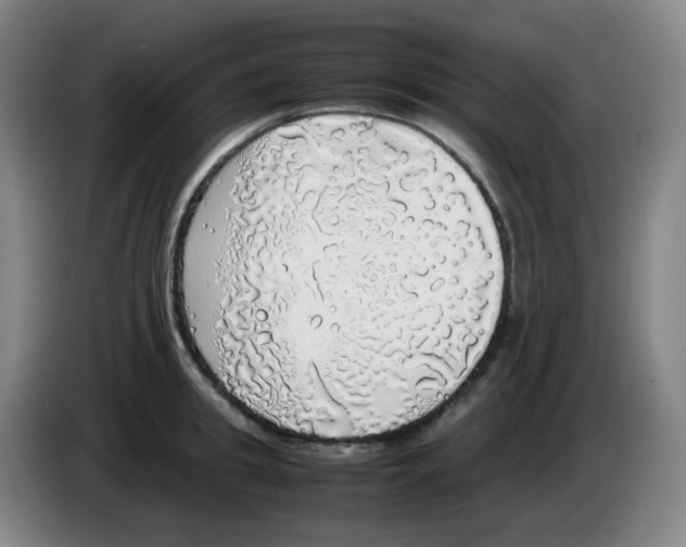 X0000085250949200703301807