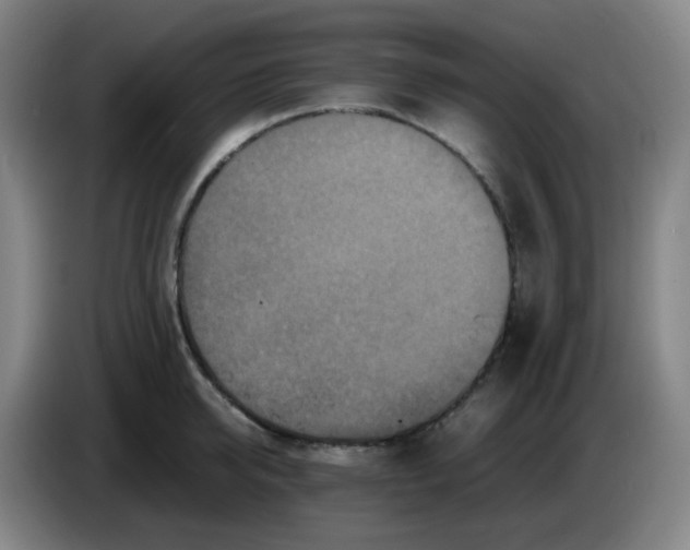 X0000085250950200703301807