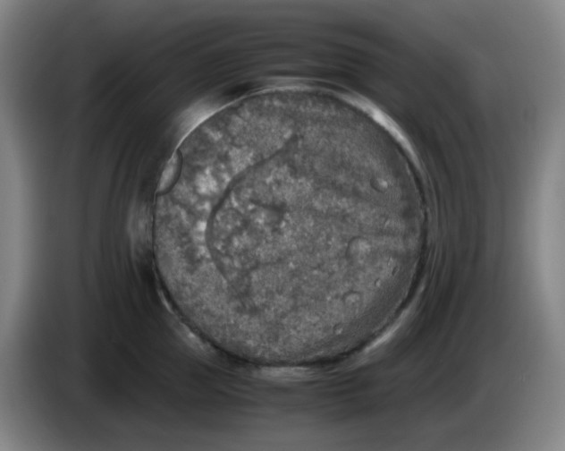 X0000085250953200703301807