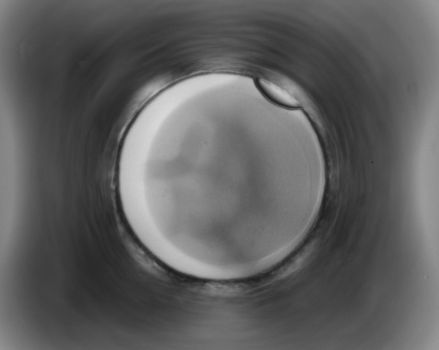 X0000085250954200703301807