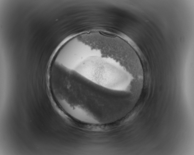 X0000085250955200703301807