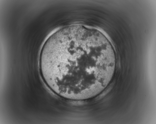 X0000085250957200703301807