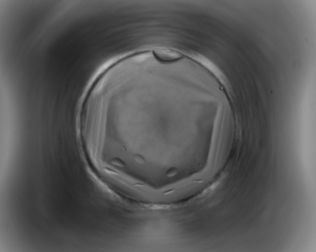 X0000085250958200703301807