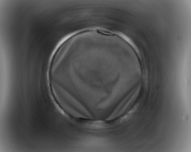 X0000085250959200703301807