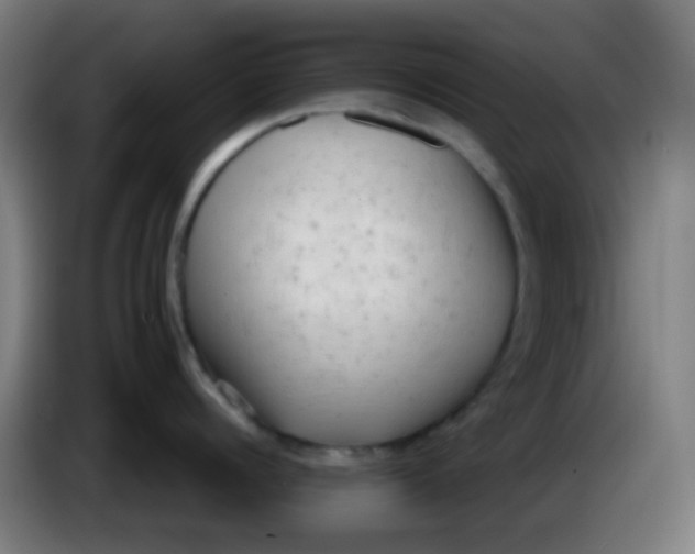 X0000085250960200703301807