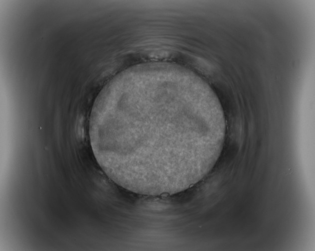 X0000085250962200703301807