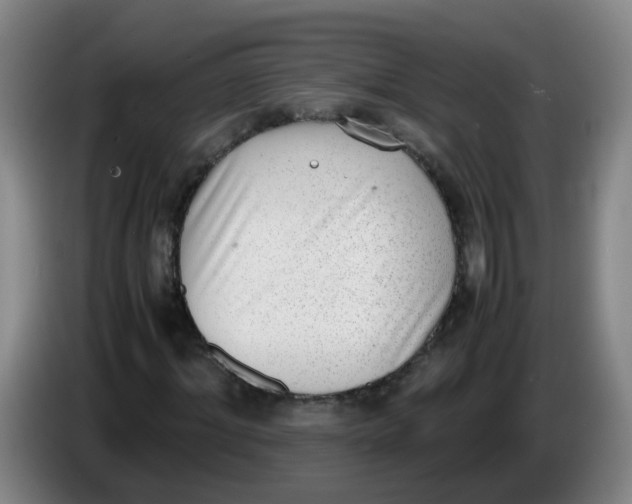 X0000085250964200703301807