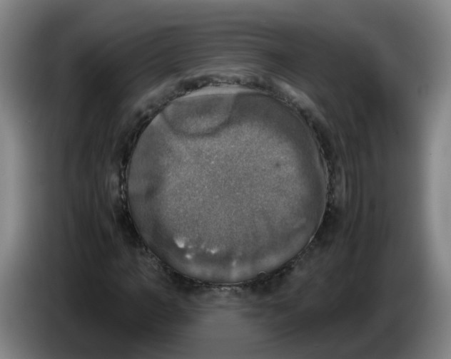 X0000085250966200703301807