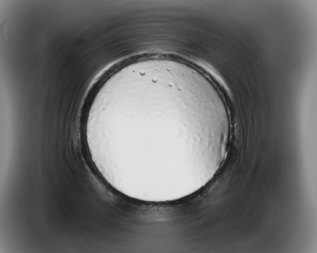 X0000085250972200703301807