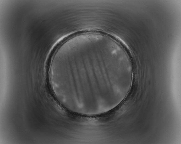 X0000085250975200703301807