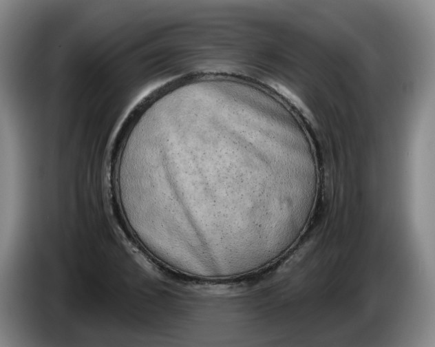 X0000085250976200703301807