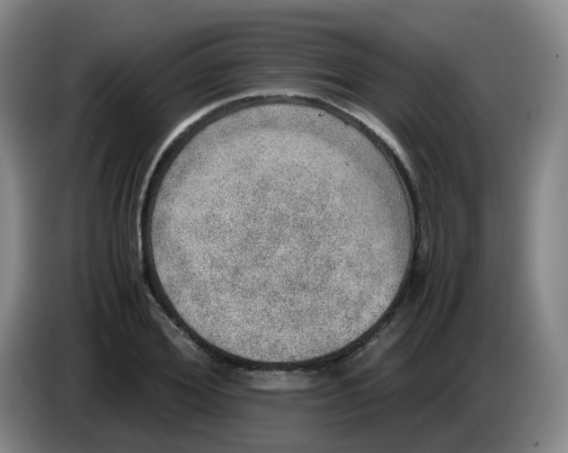 X0000085250980200703301806