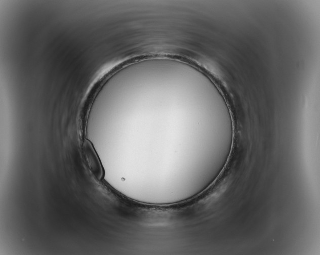 X0000085250981200703301806