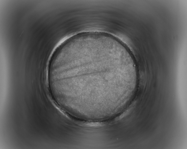 X0000085250982200703301806