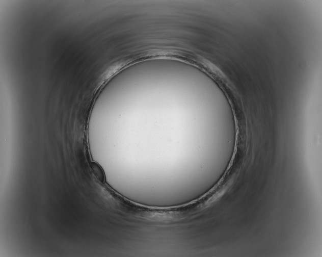 X0000085250985200703301806