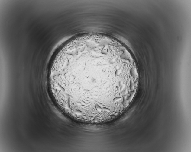 X0000085250987200703301806