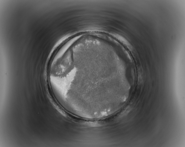 X0000085250990200703301806