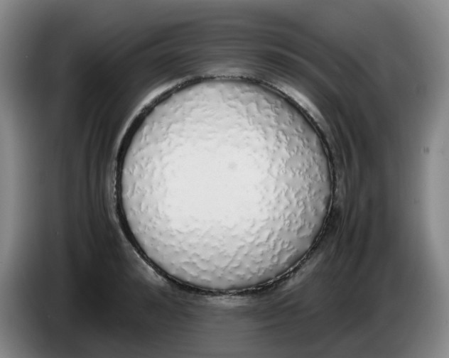 X0000085250992200703301806