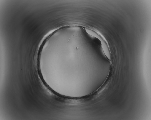 X0000085250995200703301806