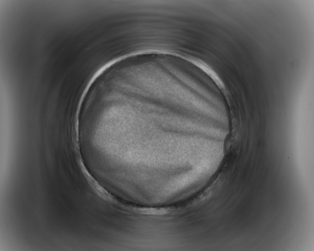 X0000085250996200703301806