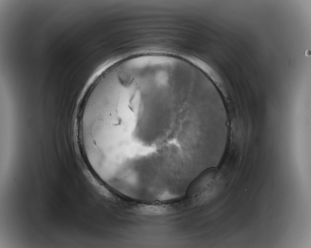 X0000085250998200703301806