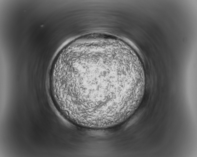 X0000085250999200703301806