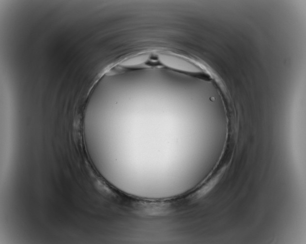 X0000085251001200703301806