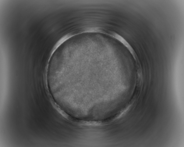 X0000085251002200703301806