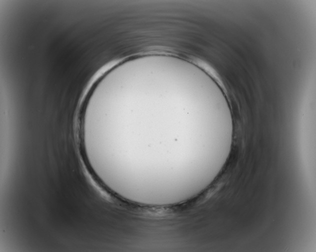 X0000085251003200703301806