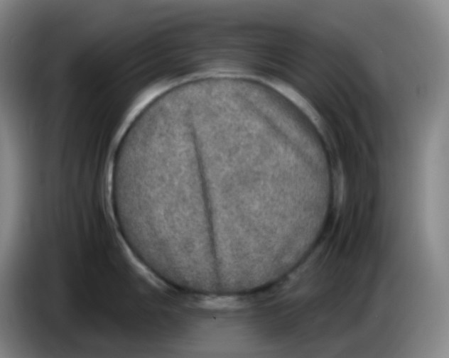 X0000085251006200703301806