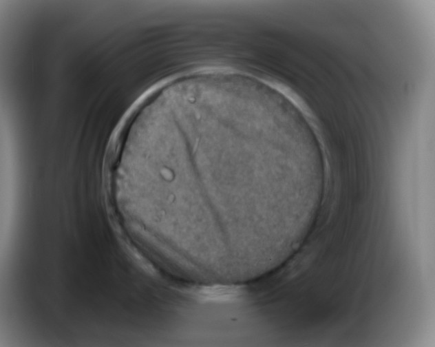 X0000085251008200703301806