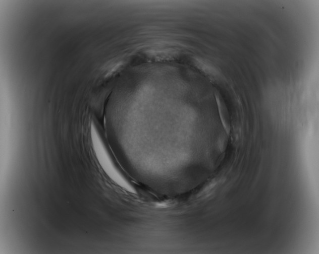 X0000085251010200703301805