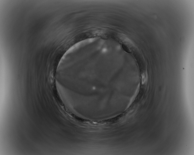 X0000085251011200703301805