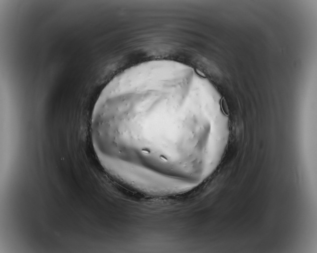 X0000085251012200703301805