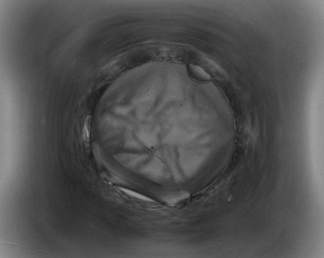 X0000085251013200703301805