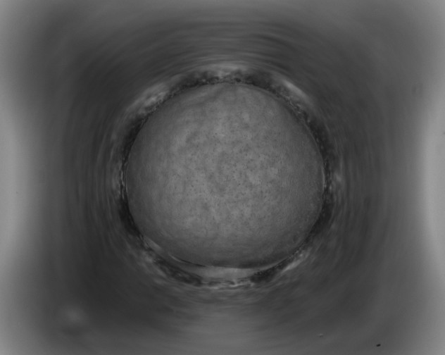 X0000085251014200703301805