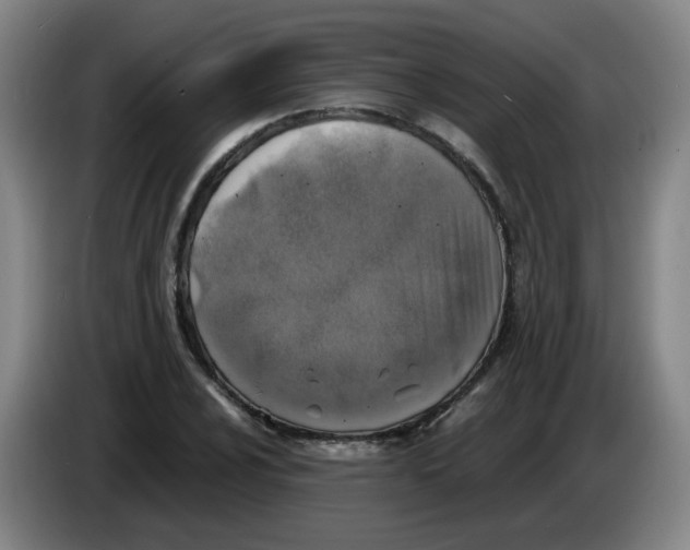 X0000085251024200703301806