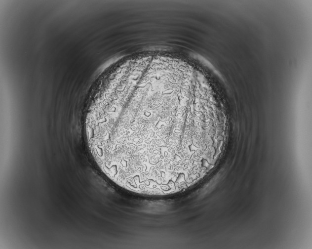 X0000085251025200703301806