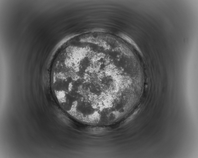 X0000085251027200703301806