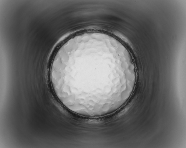 X0000085251029200703301806